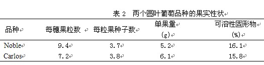 A~NF༼g