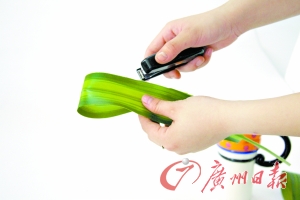 ۏ10cm̎~o߅~Ƭֻ~oƬ