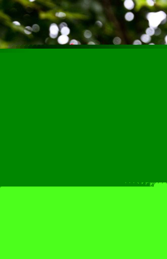 ¼