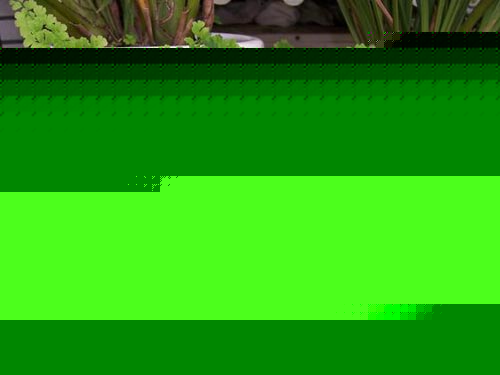 Fާ