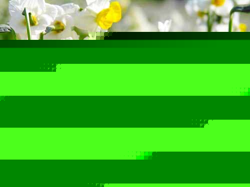 ˮɻ