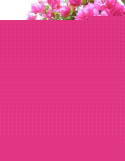 ÷