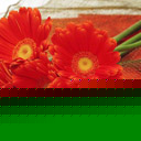 ջ,̫ꖻ