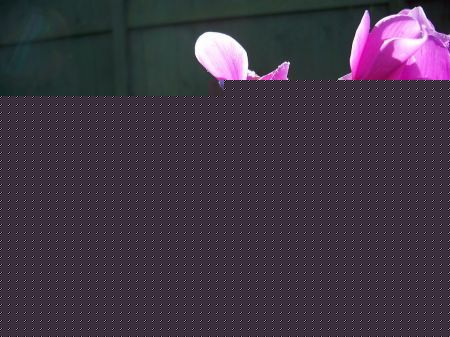 ɿ́