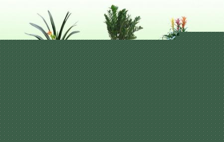 ҃ȳҊֲ