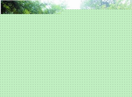 С~SGh