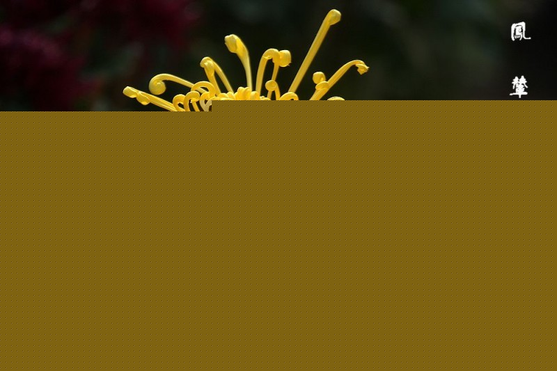 ջ