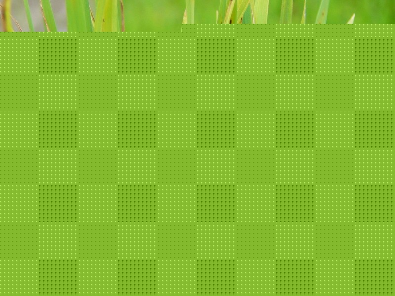 ù~ݲ