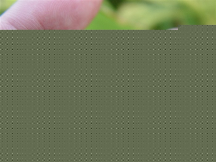 ù~ݲ