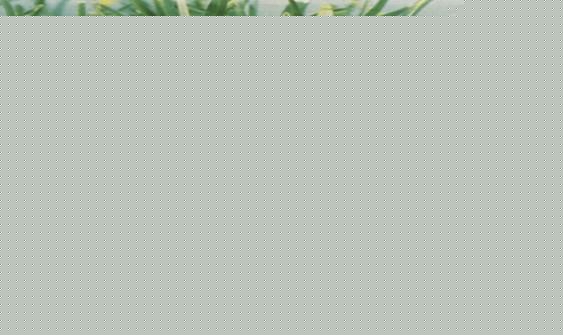 ù~ݲ