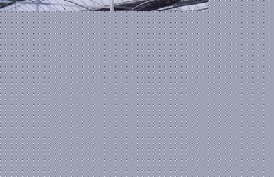 ؙĹ