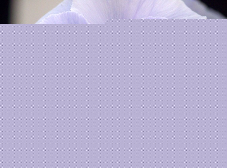 ɫ෽