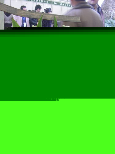 廨p