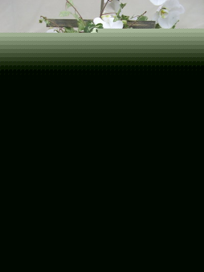 廨p