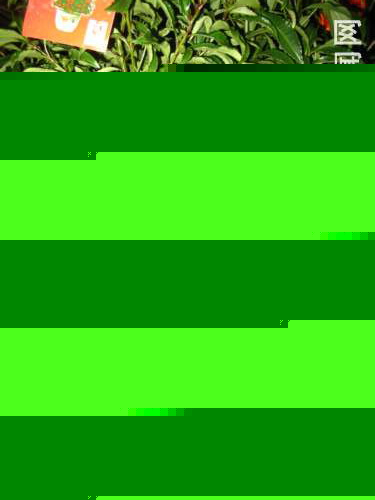 ɰ