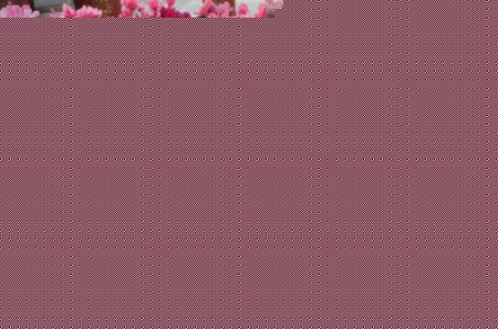 ɿ́