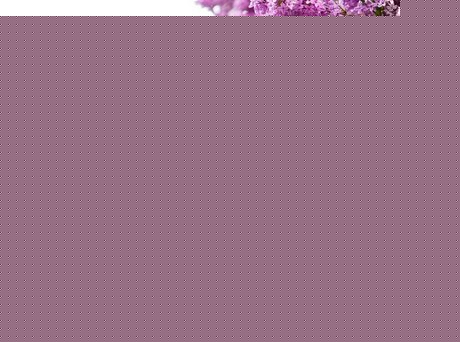 ķNBֳ