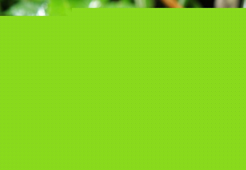 ޸