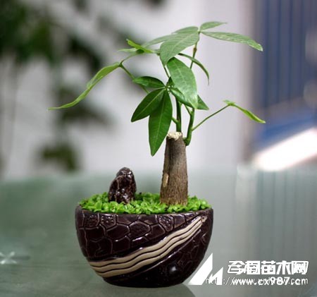 Сl(f)ؔ(ci)辰