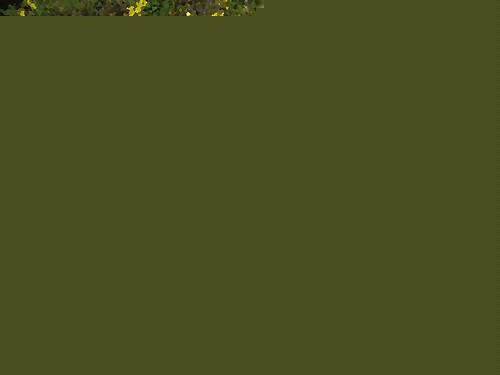 ӭķֳ