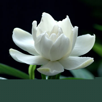 ˎһ θó