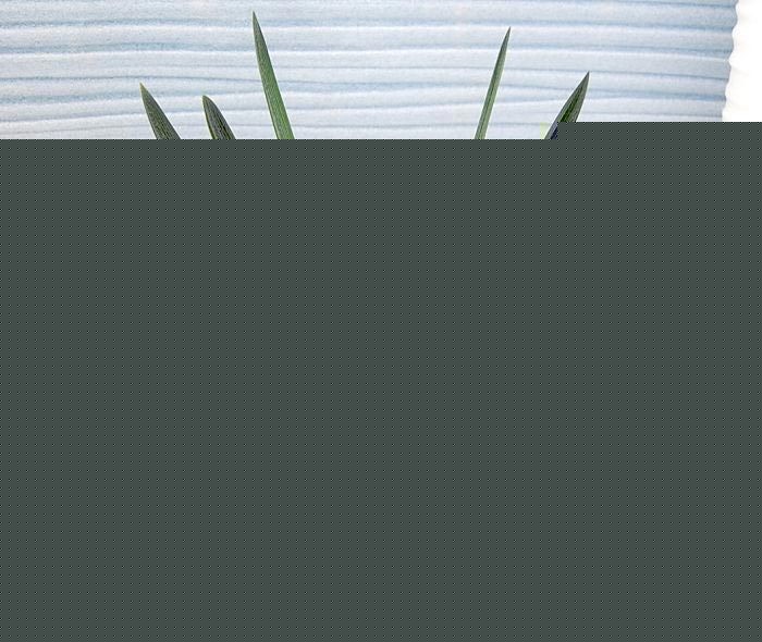 mķֳ