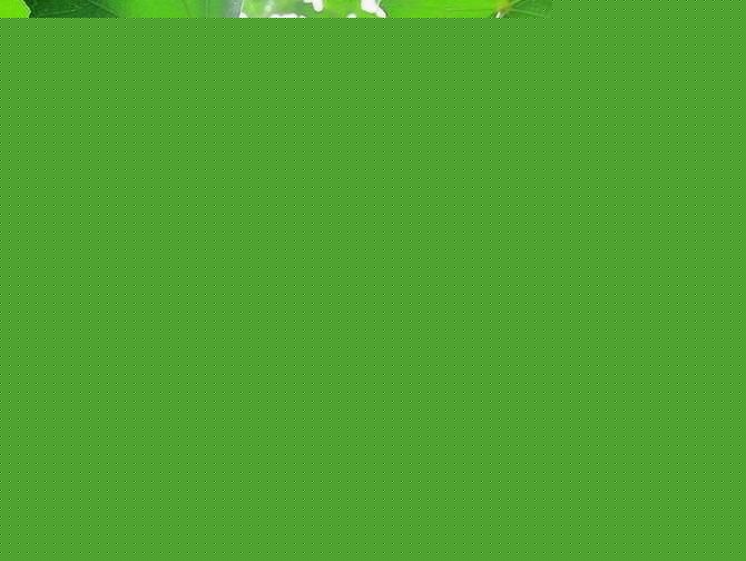 ľܽ