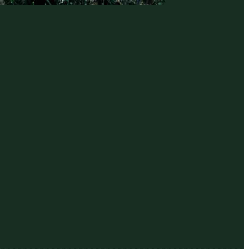 ɳĮõ