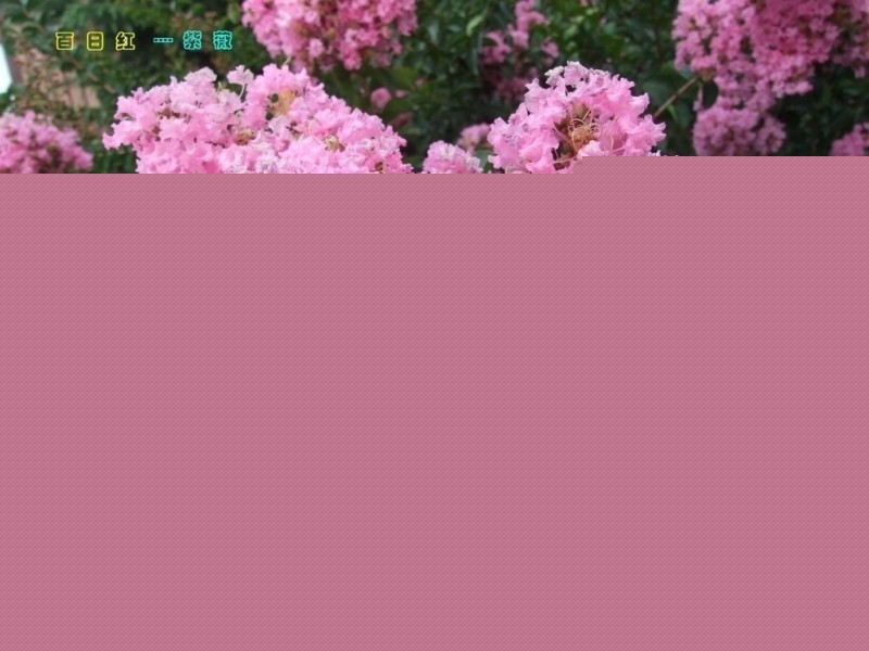 ޱ