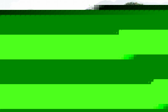 ϣԪhNֲ򻨴eʢ_ rժæ