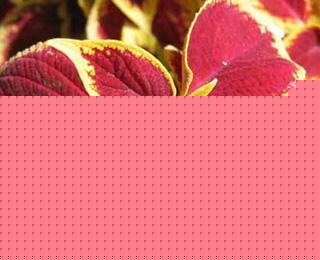 ~ݵĻZ^đ