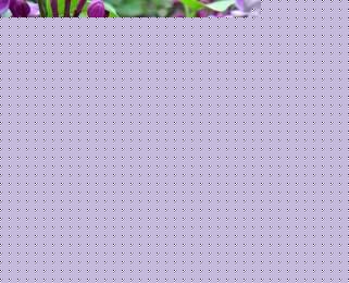 ɫ㻨ĻZ