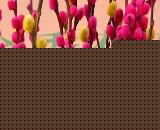 yĻZ(y)ɡoПo