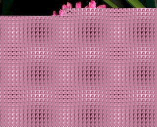 tɫLӵĻZx㡢