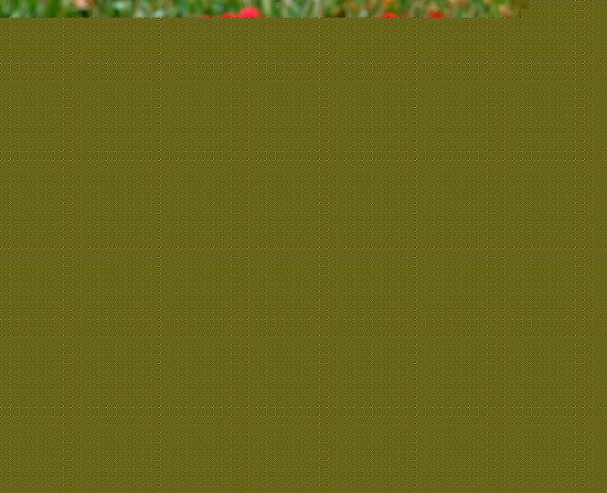 Sɫ