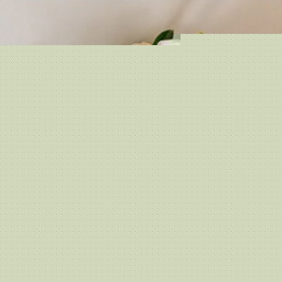 ͻ