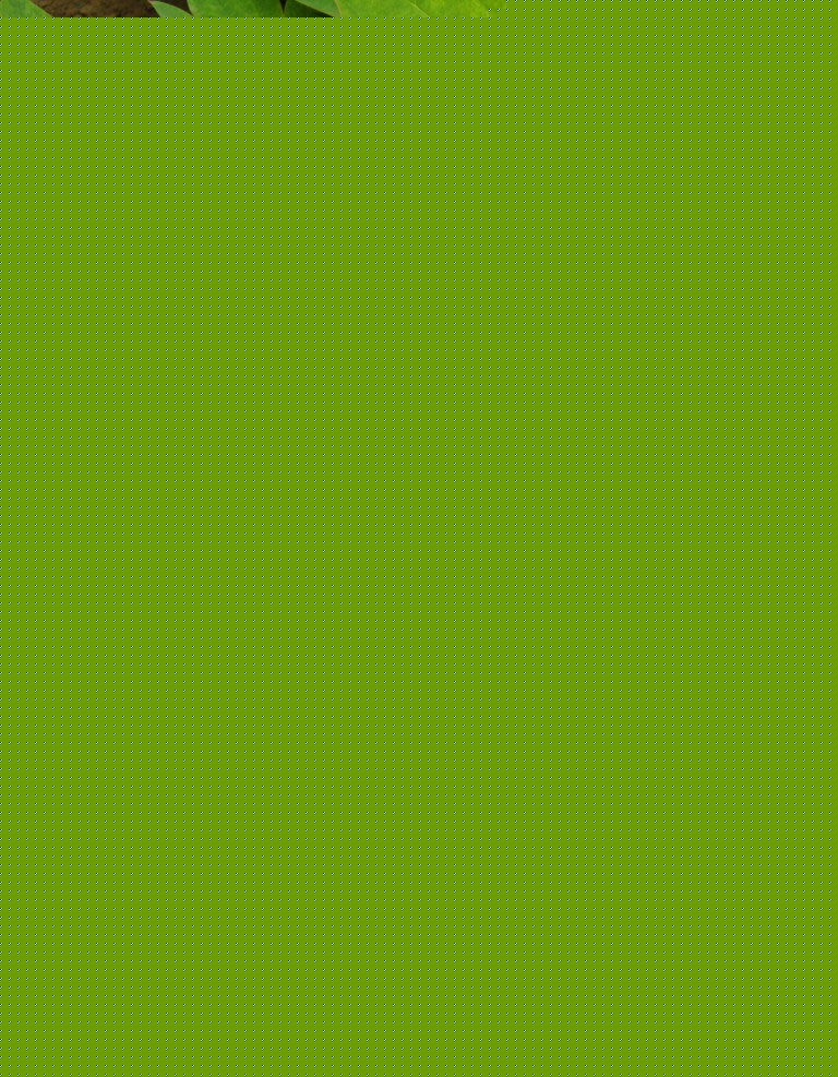 ĵ