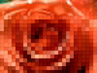 zϼõ