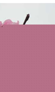360ȜpӋŶ Nݲ賬B(yng)
