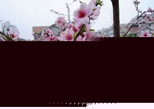 10Ȼȳtˮüw