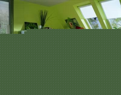 ͥB(yng)СԸZ