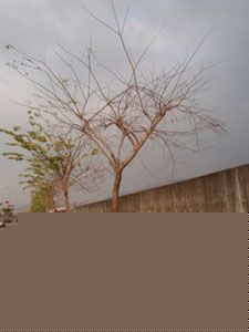 ϣ̴x“d^”
