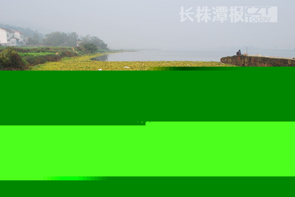 ˮJ