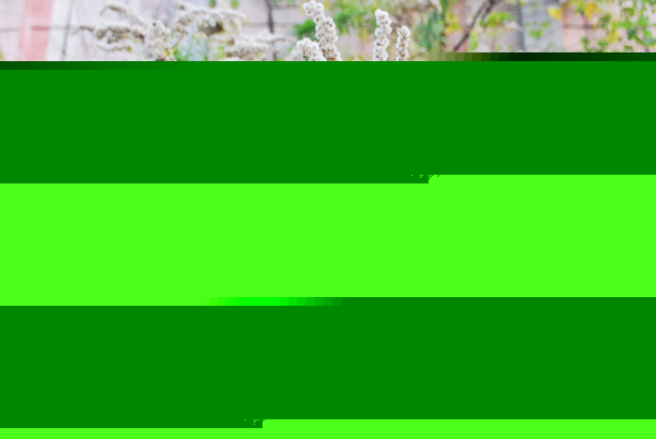 ôһ֦S