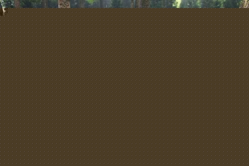 ĴŰhӏρ֘Iк 