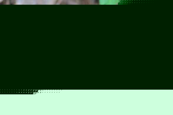 Җ|(sh)ω