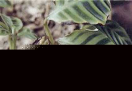 Zq߅~