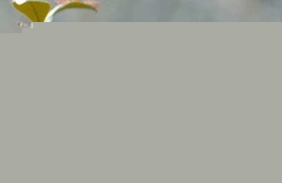 Lɳ´^(q)골ƺ(zhn)ٴxɞ(zi)