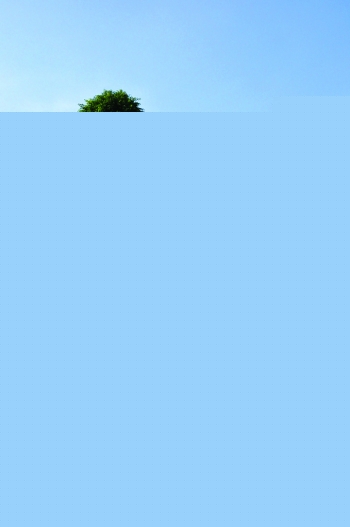 Ĵϳ䣺oٚqϘ䴩“”x