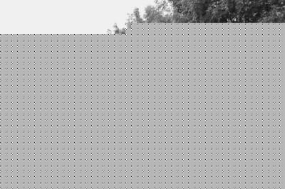 ɽ|ȫΰ׷ʭ